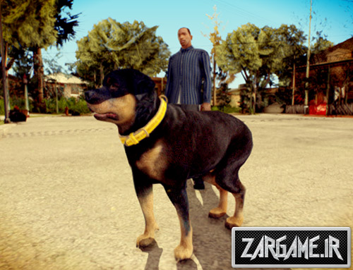 دانلود مد سگ GTA V برای بازی (GTA 5 (San Andreas