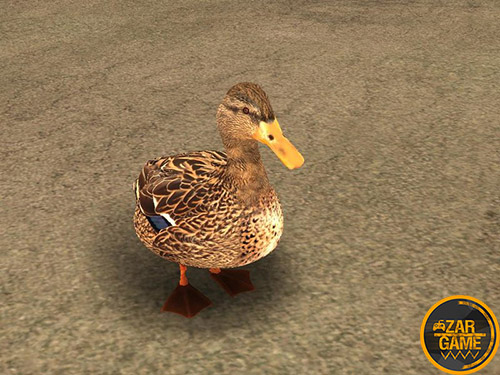 دانلود اسکین اردک برای بازی (GTA 5 (San Andreas